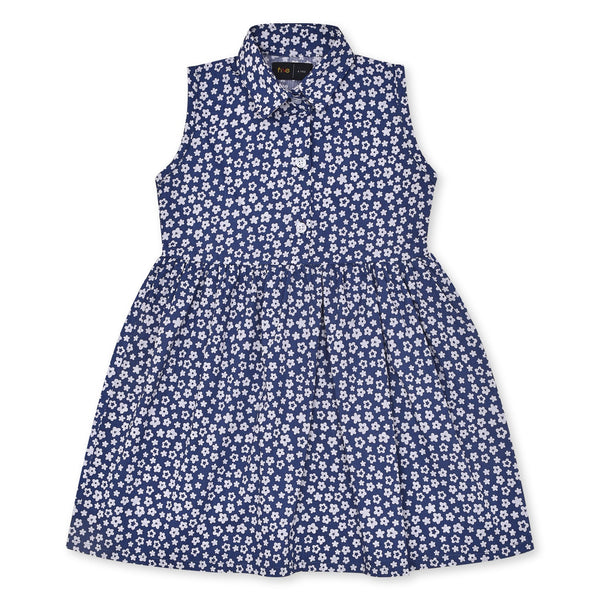 Girls Blue Printed Frock